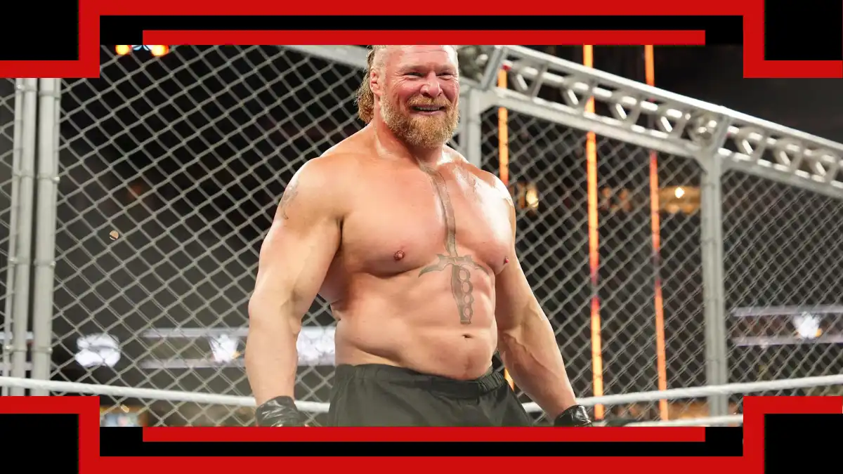 Brock Lesnar erklärt