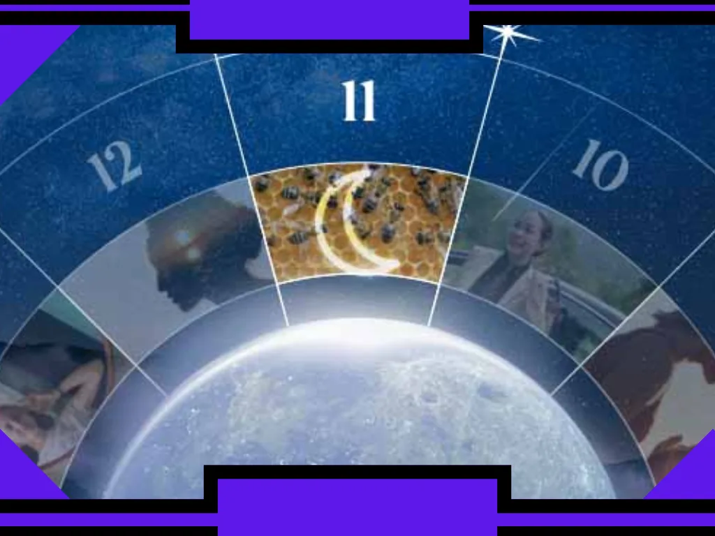 11ª Casa na Astrologia: Significado, Amigos, Objectivos e Caminho de Vida Explicados