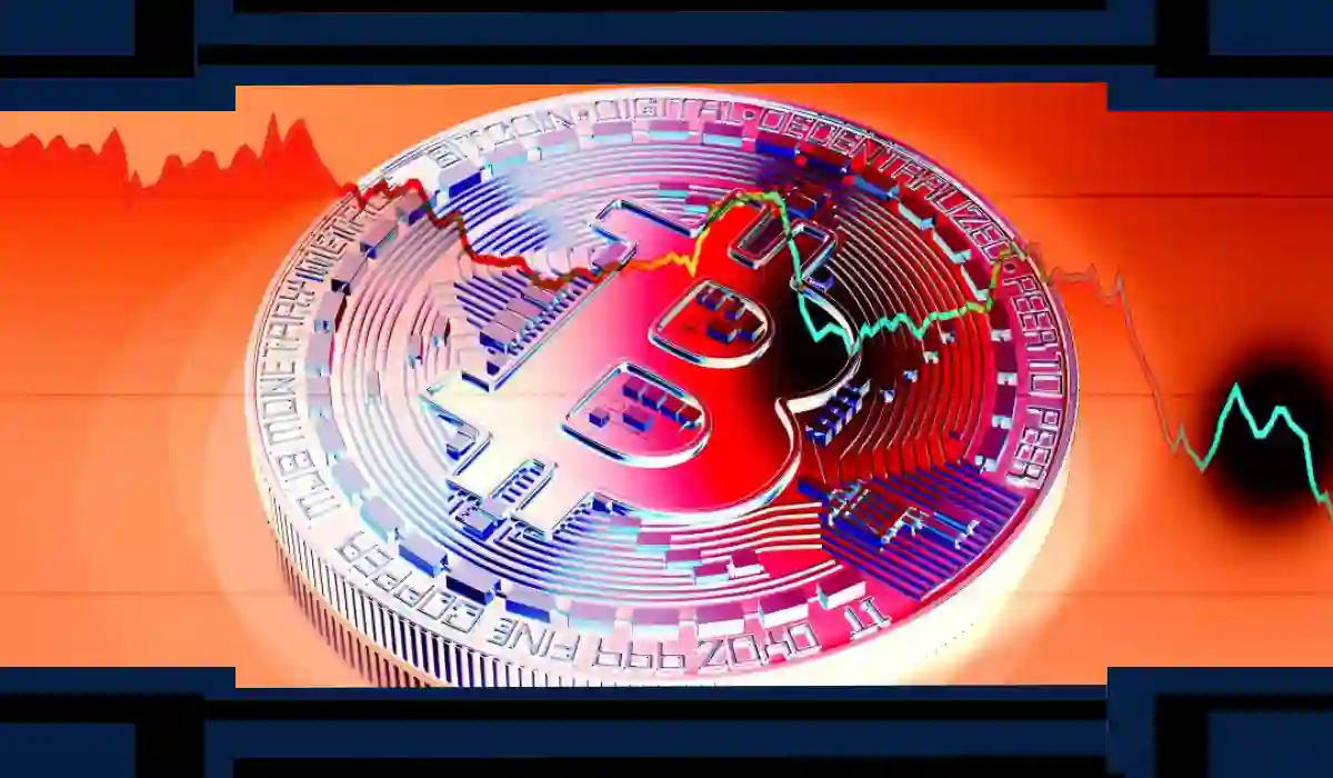 Crypto Collapse