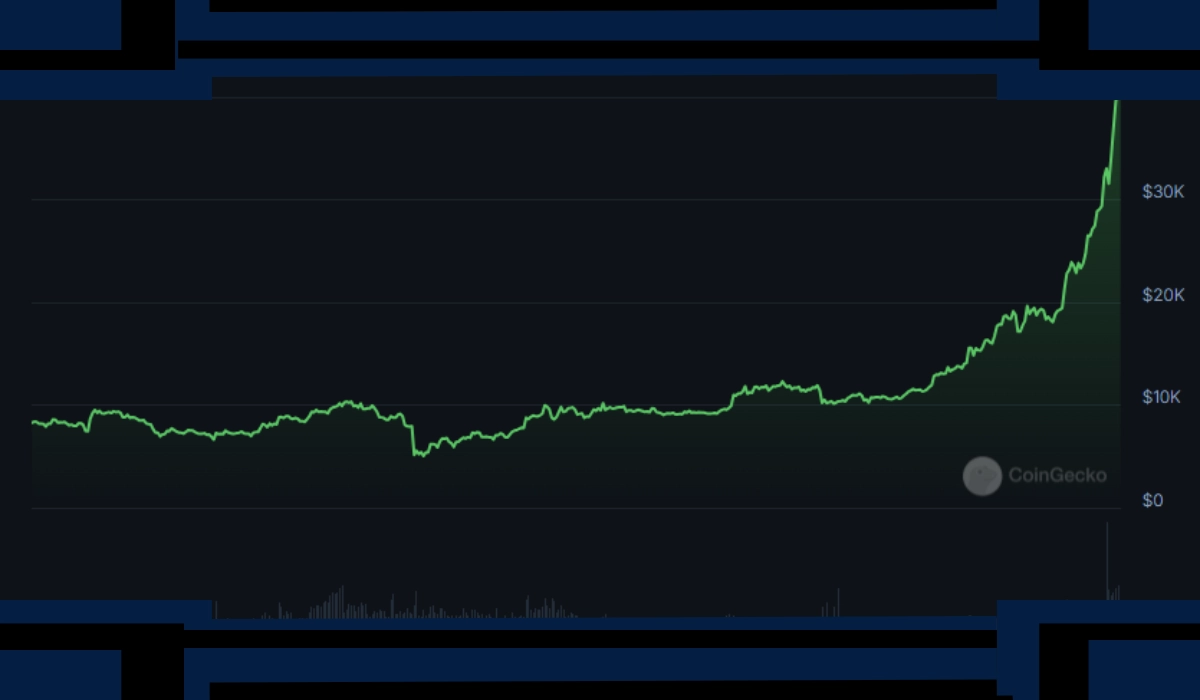Next Crypto Bull Run