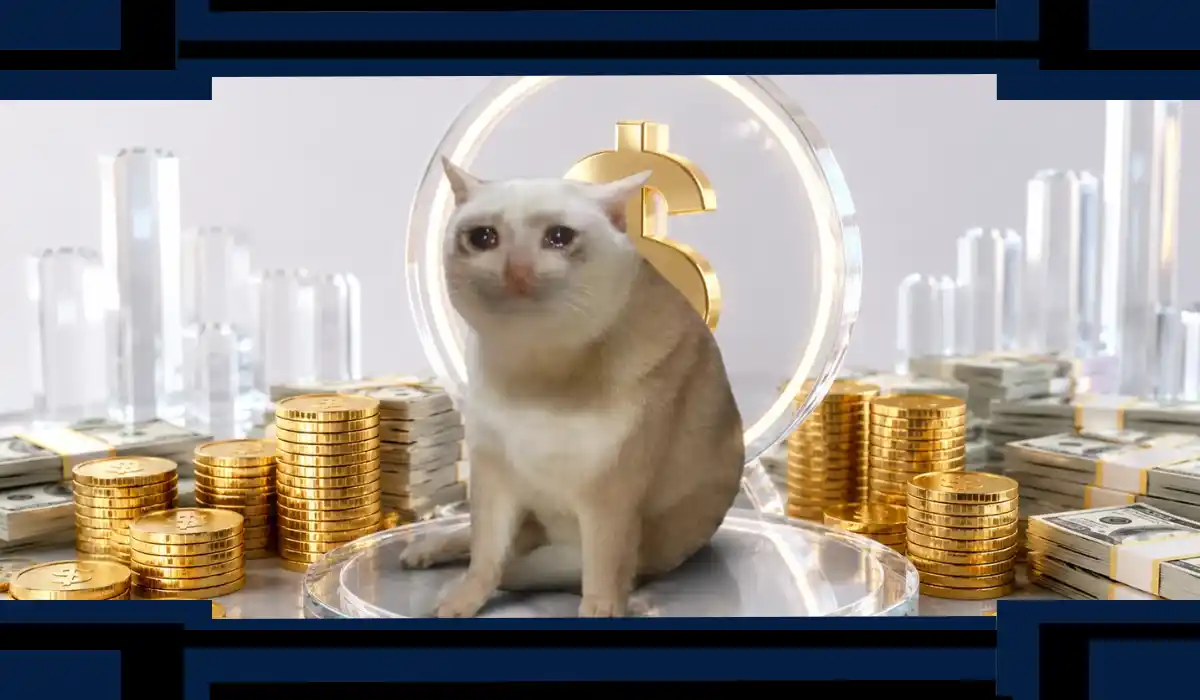 Cash Cat (CASHCAT) Price Prediction