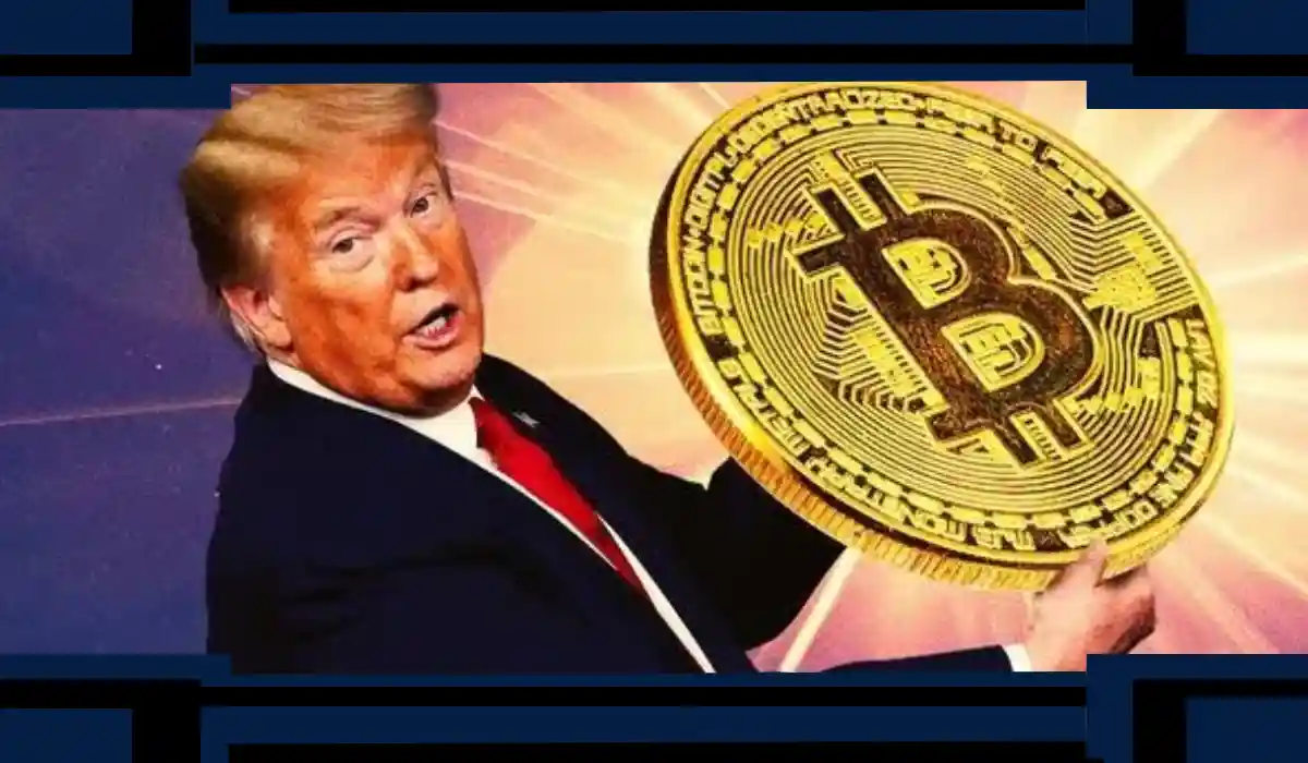 Trump Memecoin Investors